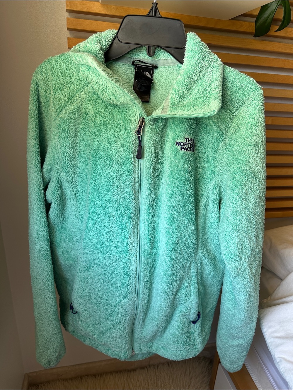 The North Face Mint Green Teddy Fleece Jacket